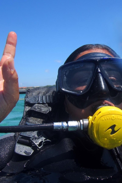 Bali: Scuba Diving For Beginner Experience - Key Points