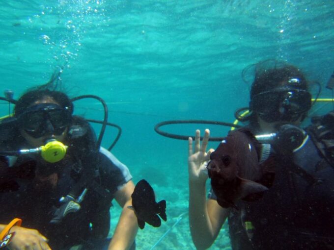 Bali: Scuba Diving For Beginner Experience - Customer Feedback