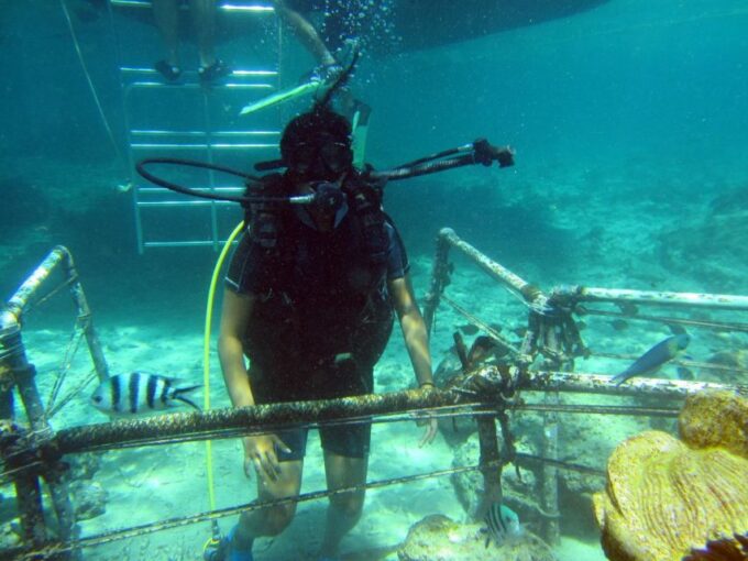 Bali: Scuba Diving For Beginner Experience - Preparing for the Adventure