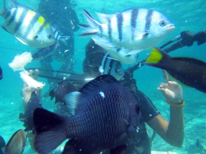Bali: Scuba Diving For Beginner Experience - Frequently Asked Questions