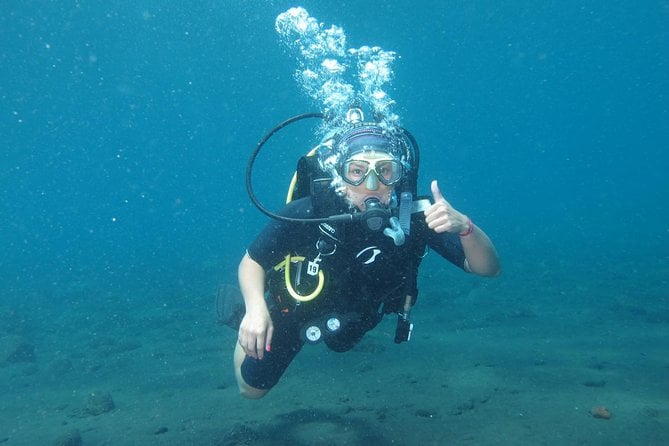 Bali Scuba Diving Trip at Tulamben for Certified Diver - Recommended for All Divers
