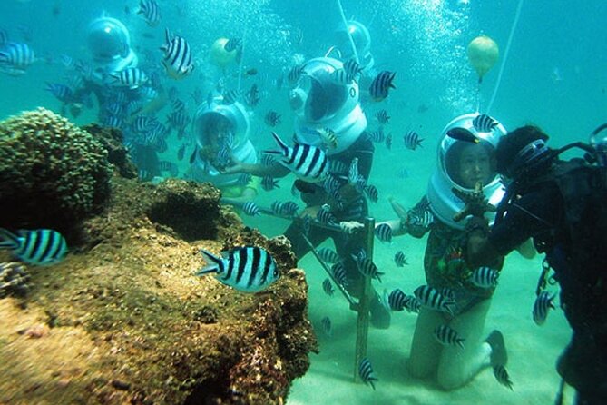 Bali Sea Walker - What to Expect Underwater