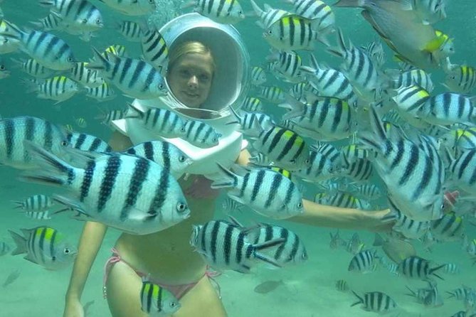 Bali Sea Walker Experience - Interaction With Marine Life