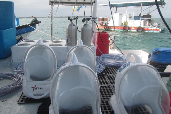 Bali Sea Walker Experience - Reviews and Feedback