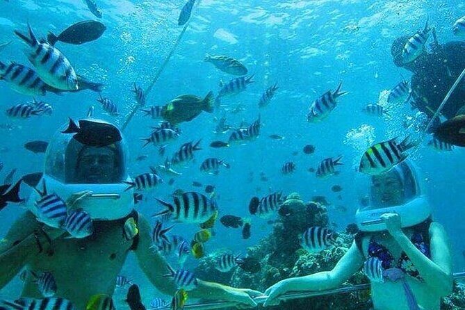 Bali Sea Walker Under Water Experience With Hotel Transfer - Who Will Enjoy This Tour?
