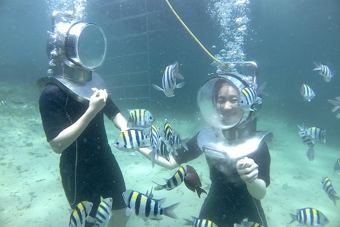 Bali Seawalker - Tropical Marine Life