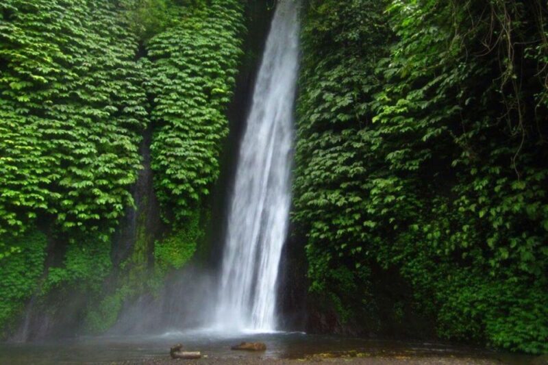 Bali: Secret and Untouristic Tour North West Bali. - Blahmantung Waterfall