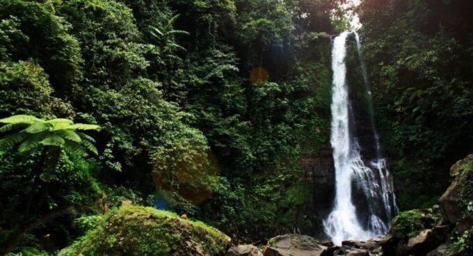 Bali: Secret and Untouristic Tour North West Bali. - Participant Information and Requirements