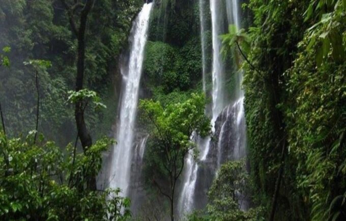Bali: Secret and Untouristic Tour North West Bali. - Customer Reviews and Feedback