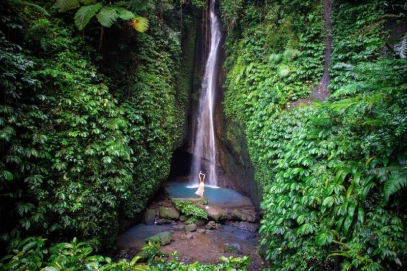 Bali Secret Waterfall Tour - Private and All-Inclusive - Key Points
