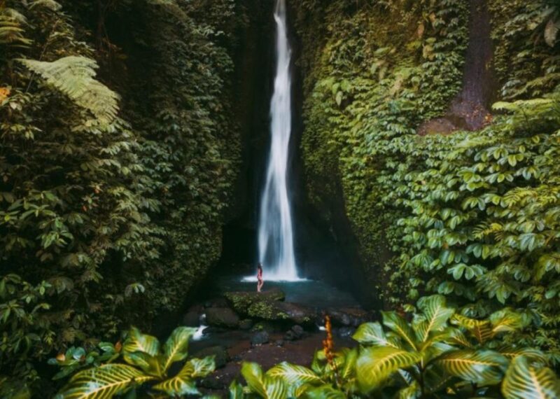 Bali Secret Waterfall Tour - Private and All-Inclusive - Highlights