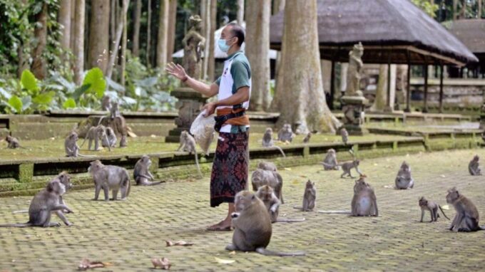 Bali Secret Waterfall Tour - Private and All-Inclusive - Customer Reviews