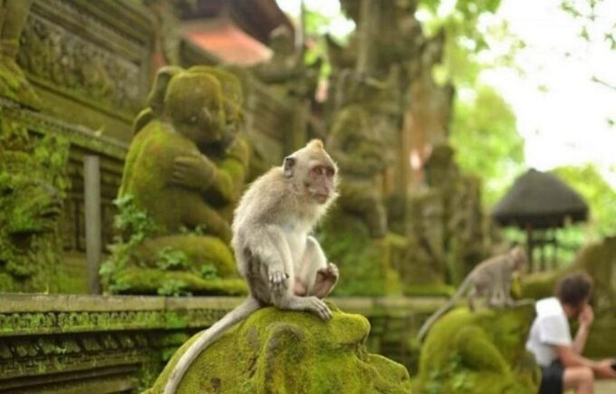 Bali Secret Waterfall Tour - Private and All-Inclusive - Pricing and Booking