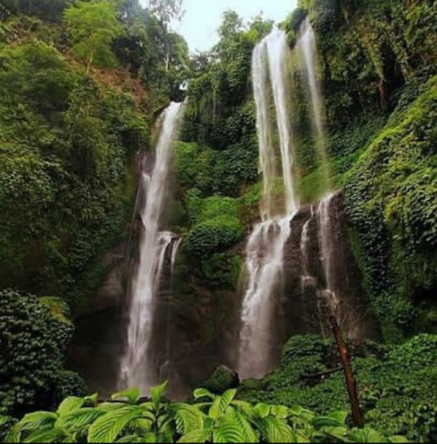 Bali: Sekumpul and Fiji Waterfalls All Inclusive Tour - Booking and Cancellation