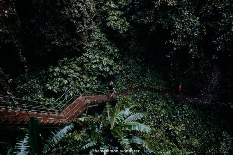 Bali: Sekumpul Waterfall, Ulun Danu Temple, Wanagiri Hills - Key Points