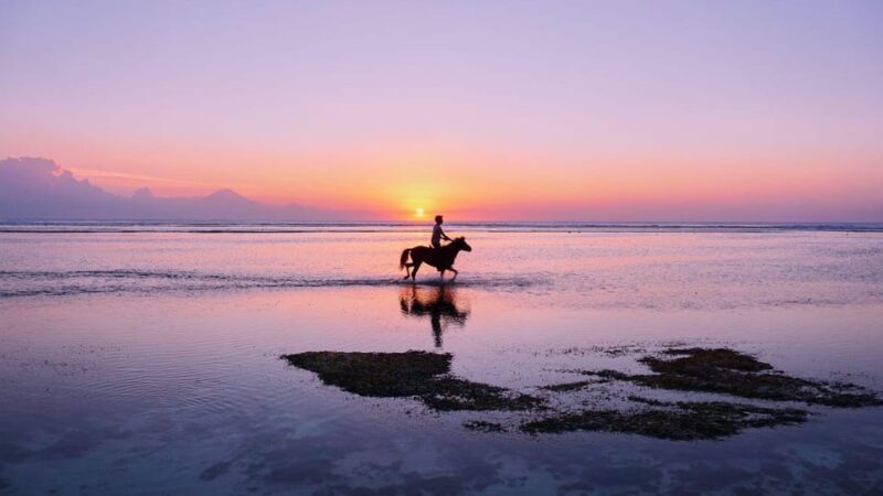 Bali: Seminyak Beach Horse Riding Exclusive Experience - Participant Eligibility and Restrictions