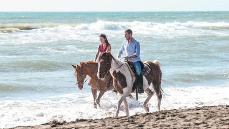 Bali: Seminyak Beach Horse Riding Exclusive Experience - Guest Reviews and Ratings
