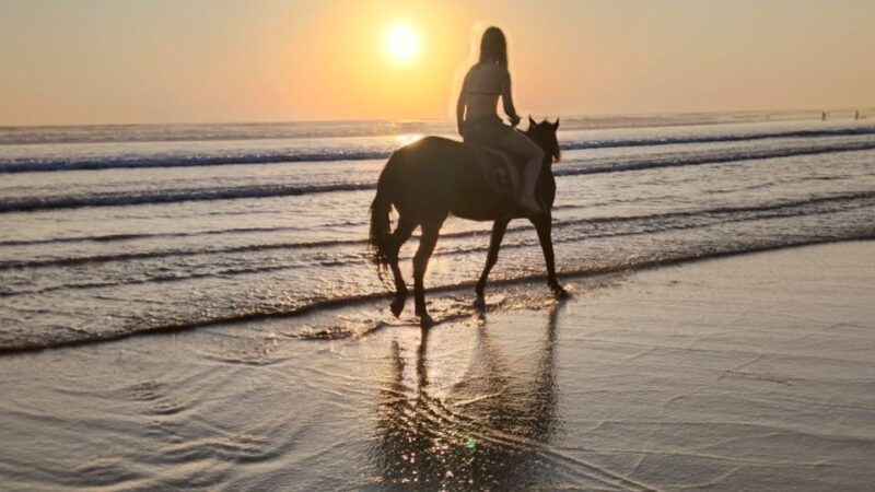 Bali: Seminyak Beach Horse Riding Experience - Key Points