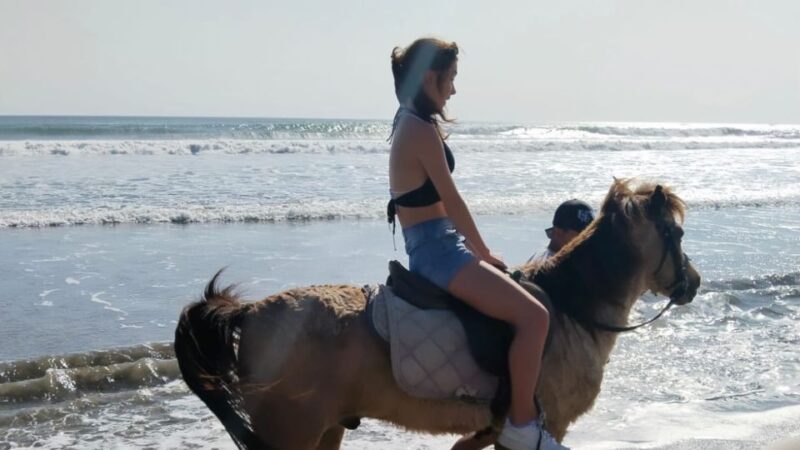 Bali: Seminyak Beach Horse Riding Experience - Activity Details