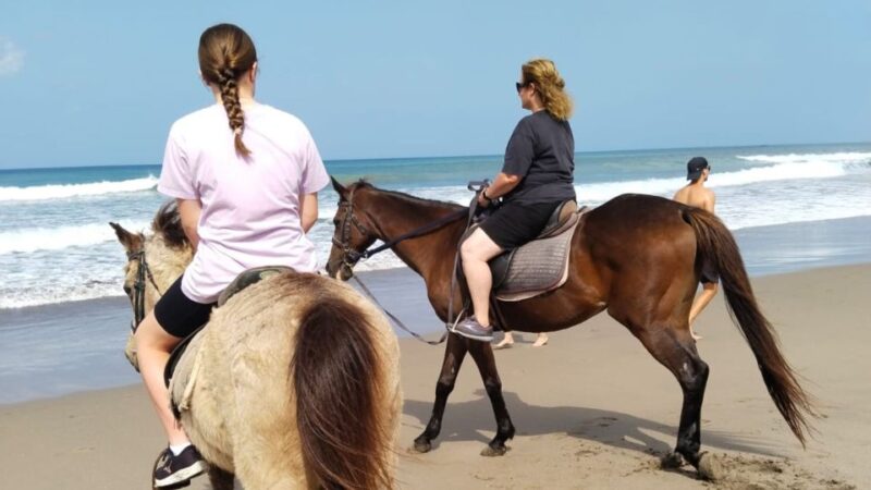 Bali: Seminyak Beach Horse Riding Experience - Safety and Suitability