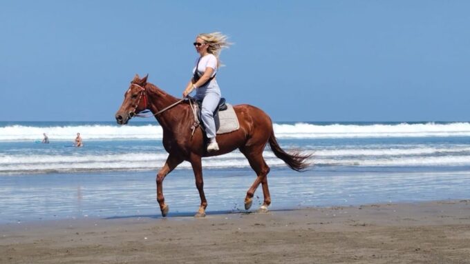 Bali: Seminyak Beach Horse Riding Experience - Getting to the Meeting Point