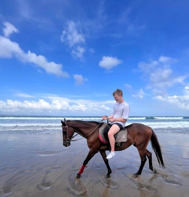 Bali: Seminyak Beach Horseback Adventure - Experience Highlights