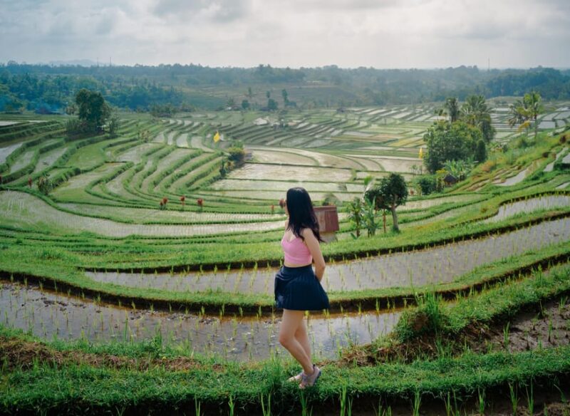 Bali: Serenity Bali Heritage Tour (All Inclusive&Private) - Key Points