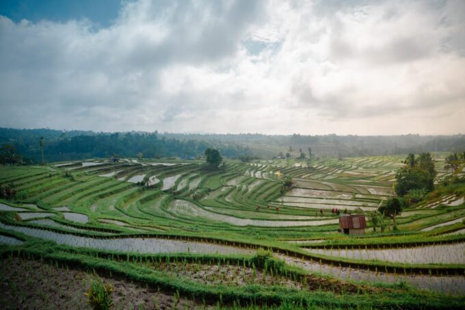 Bali: Serenity Bali Heritage Tour (All Inclusive&Private) - Booking Flexibility
