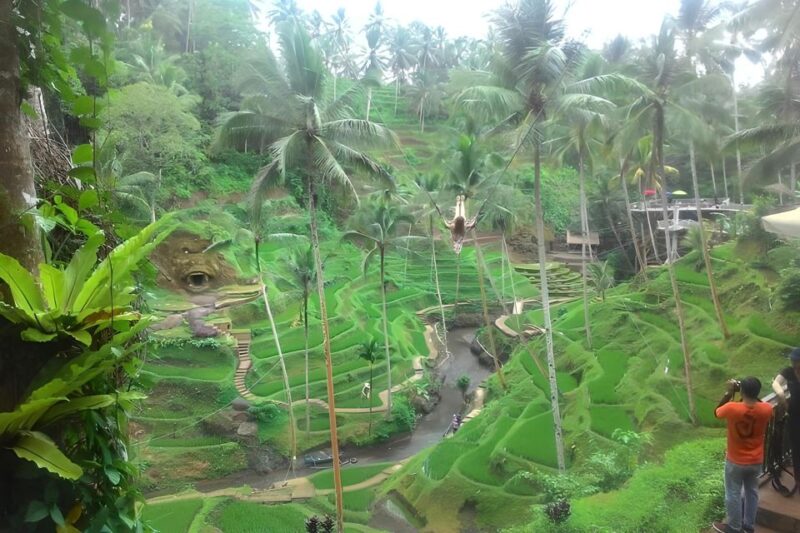 Bali :Shore Excursion for Cruisess Passenger -All Inclusive - Key Points