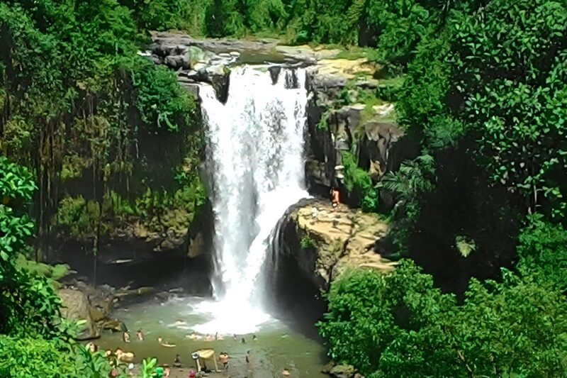 Bali :Shore Excursion for Cruisess Passenger -All Inclusive - Itinerary Highlights