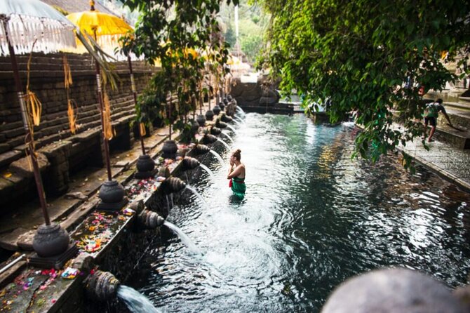 Bali Shore Excursions: Ubud Day Trip - Healing Waters of Tirta Empul Temple
