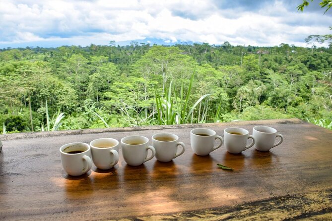 Bali Sightseeing Tours and Tegenungan Waterfall - Tour Experiences and Highlights