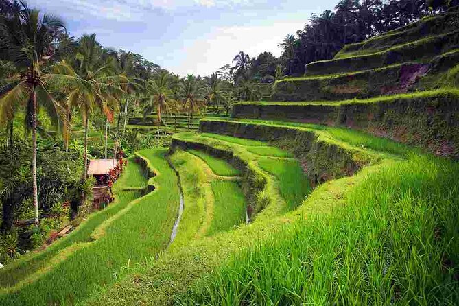 Bali Sightseeing Tours and Tegenungan Waterfall - Inclusions
