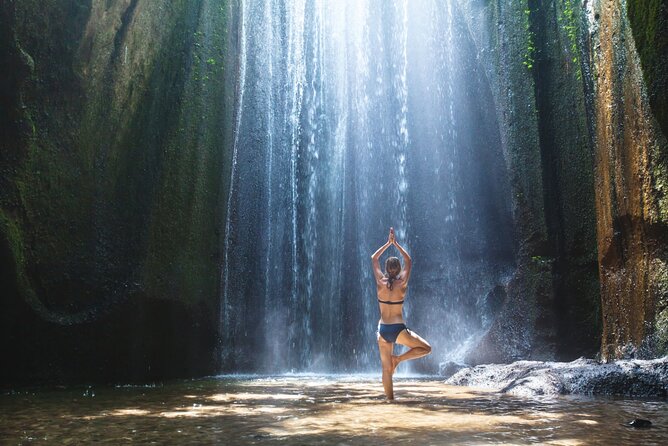 Bali Sightseeing Tours - Top Things to Do - Included Services