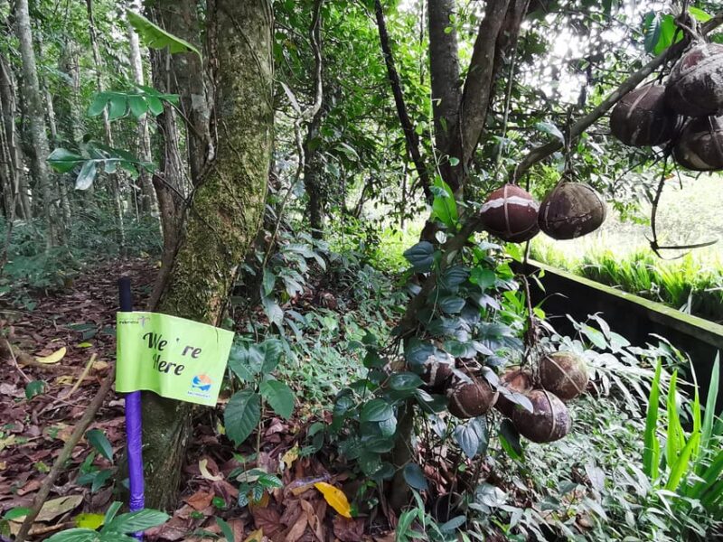 Bali : Skull Island With Mystic Ritual Village and Waterfall - Trunyan Village Insights