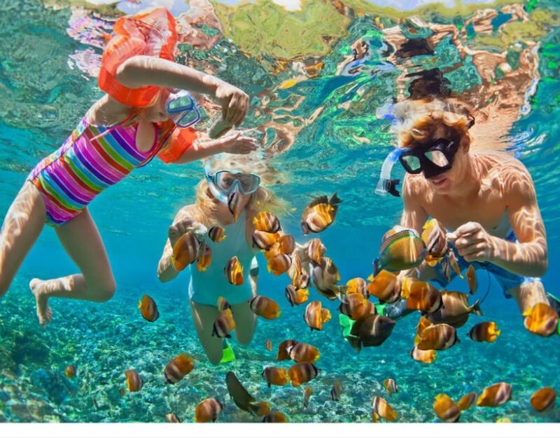 Bali: Snorkeling and ATV Quad Bike Tour With Lunch - ATV Adventure