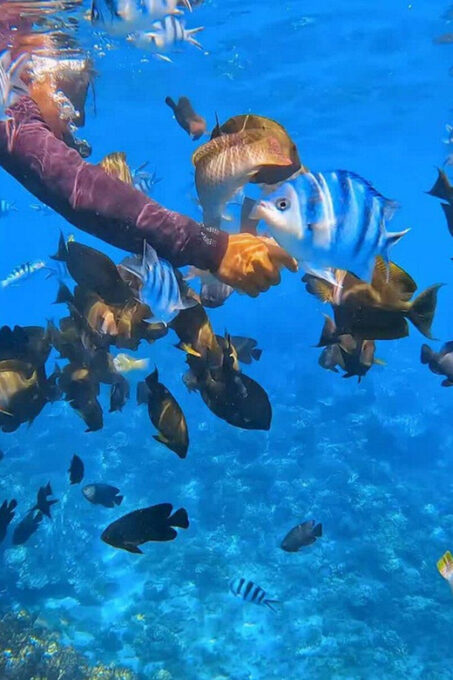 Bali: Snorkeling at Blue Lagoon Beach & Thrilling ATV Ride - Frequently Asked Questions