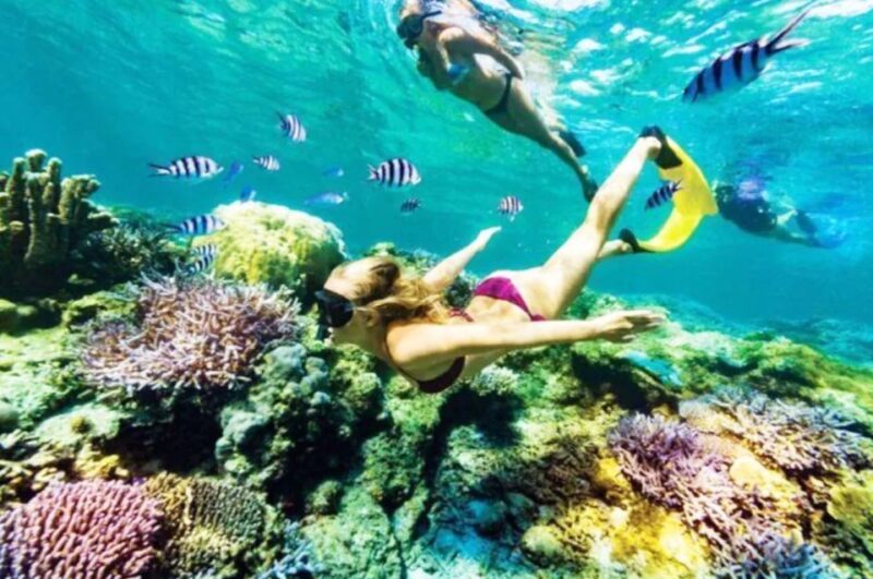 Bali: Snorkeling at Blue Lagoon Beach & Ubud Tour - Key Points