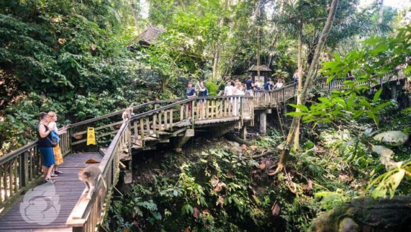 Bali: Snorkeling at Blue Lagoon Beach & Ubud Tour - Included Services