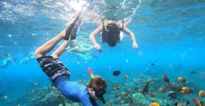 Bali: Snorkeling at Blue Lagoon Beach & Ubud Tour - Hotel Pickup and Drop-off