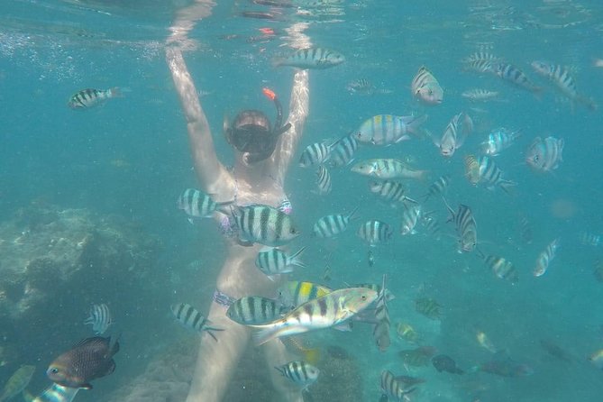 Bali Snorkeling at Blue Lagoon Include Private Transport - Positive Customer Feedback
