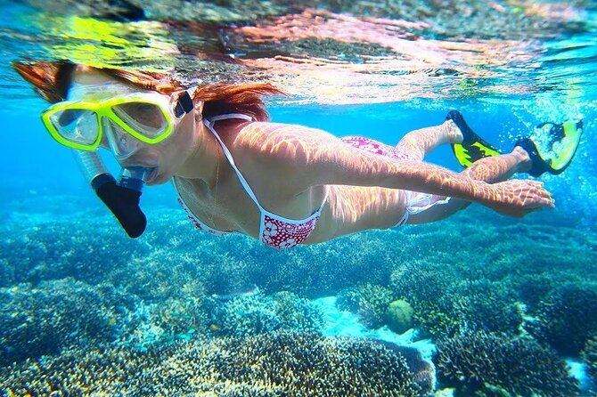 Bali Snorkeling at Blue Lagoon With Lunch And Private Transport - Hotel Pickup and Drop-off