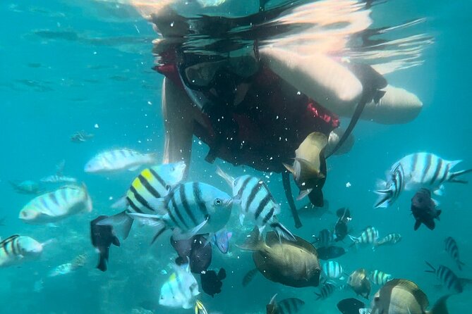 Bali Snorkeling at Blue Lagoon With Lunch And Private Transport - Tanjung Jepun Snorkeling Spot