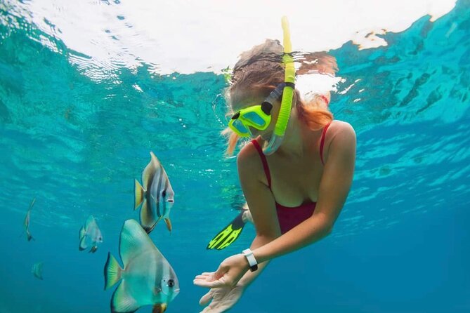 Bali Snorkeling at Blue Lagoon With Transport and Lunch - Inclusion Details