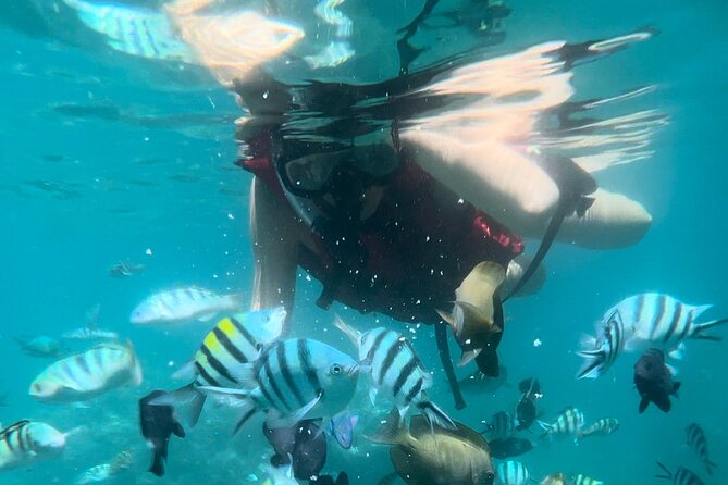 Bali Snorkeling at Blue Lagoon With Waterfall Include Lunch - Health and Safety Information