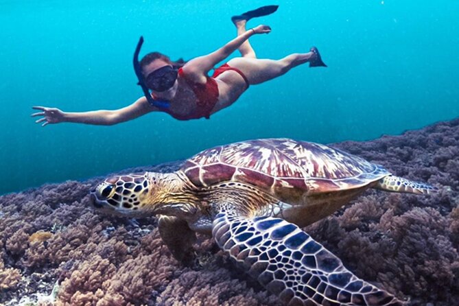 Bali Snorkeling at Blue Lagoon With Waterfall Include Lunch - Reviews and Guest Experiences
