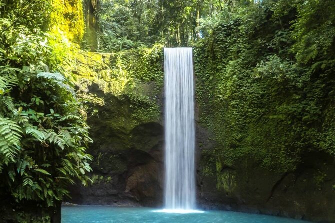 Bali Snorkeling at Blue Lagoon With Waterfall Include Lunch - Tanjung Jepun Coral Reef