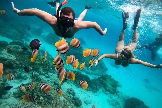 Bali Snorkeling At Bluelagoon Beach With Lunch Private Transport - Key Points