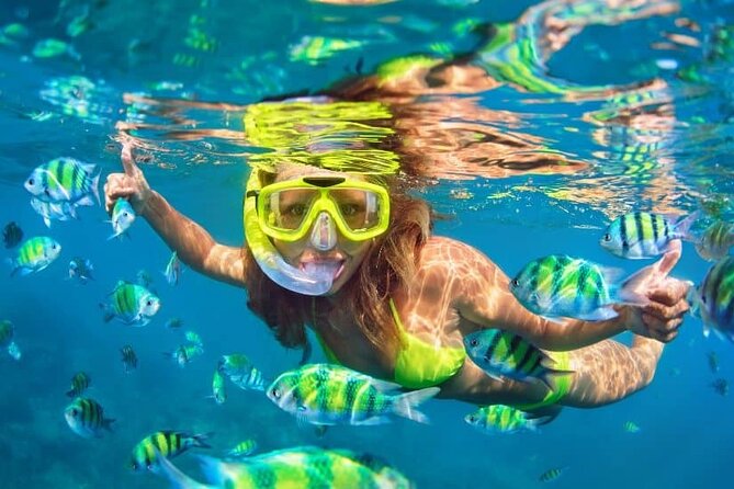 Bali Snorkeling At Bluelagoon Beach With Lunch Private Transport - Inclusions