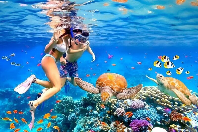 Bali: Snorkeling Blue Lagoon 2 Spot & Lunch optional Village - Key Points